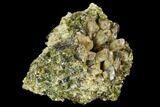 Green Clinozoisite Crystal Cluster - Peru #124406-1